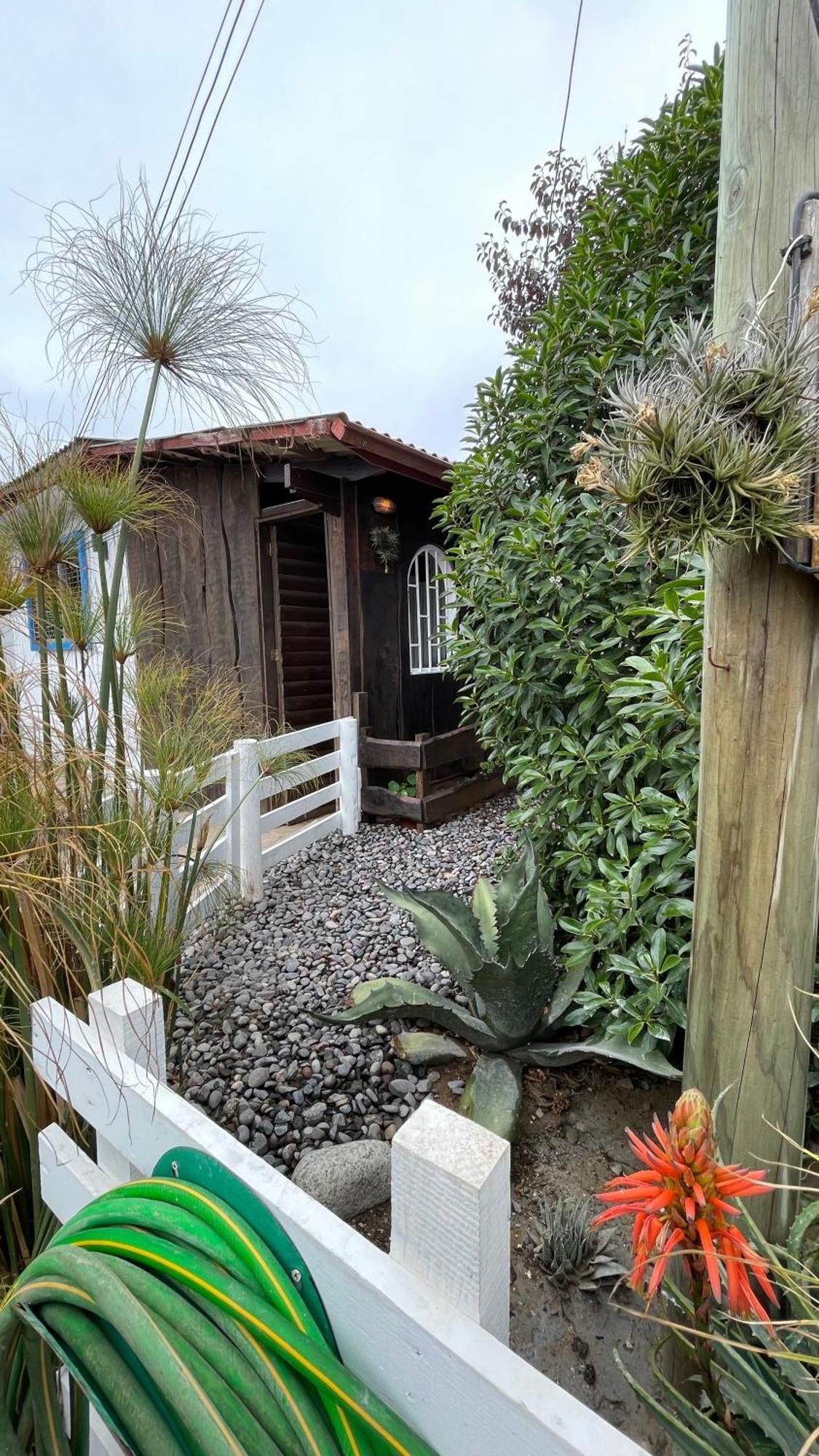 Apartamento La - *